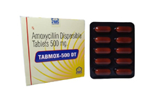  	franchise pharma products of Healthcare Formulations Gujarat  -	tablets tabmox 500dt.jpg	